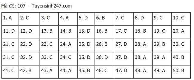 Gợi ý đáp án môn Toán thi tốt nghiệp THPT 2021 đầy đủ mã đề - Ảnh 7