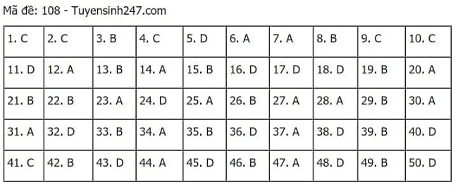 Gợi ý đáp án môn Toán thi tốt nghiệp THPT 2021 đầy đủ mã đề - Ảnh 8