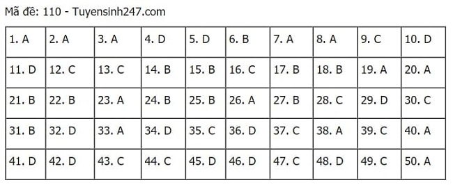 Gợi ý đáp án môn Toán thi tốt nghiệp THPT 2021 đầy đủ mã đề - Ảnh 10