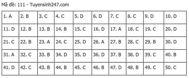 Gợi ý đáp án môn Toán thi tốt nghiệp THPT 2021 đầy đủ mã đề - Ảnh 11