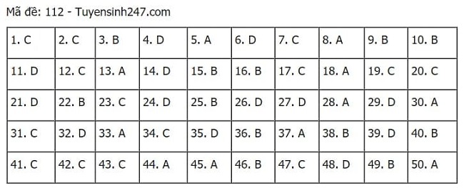 Gợi ý đáp án môn Toán thi tốt nghiệp THPT 2021 đầy đủ mã đề - Ảnh 12
