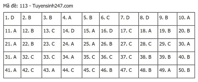 Gợi ý đáp án môn Toán thi tốt nghiệp THPT 2021 đầy đủ mã đề - Ảnh 13