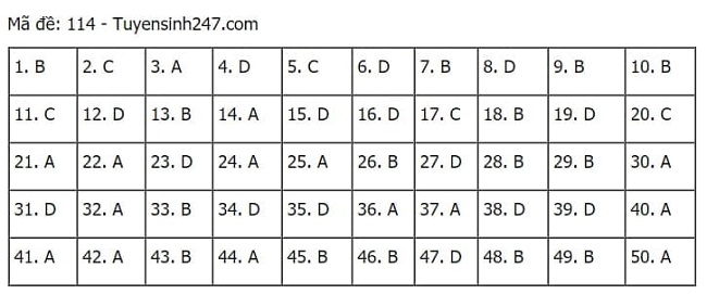 Gợi ý đáp án môn Toán thi tốt nghiệp THPT 2021 đầy đủ mã đề - Ảnh 14