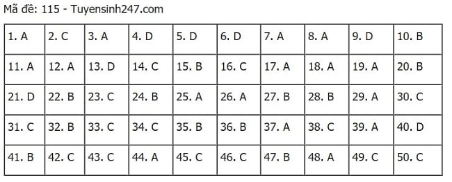 Gợi ý đáp án môn Toán thi tốt nghiệp THPT 2021 đầy đủ mã đề - Ảnh 15