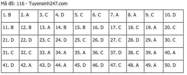 Gợi ý đáp án môn Toán thi tốt nghiệp THPT 2021 đầy đủ mã đề - Ảnh 16