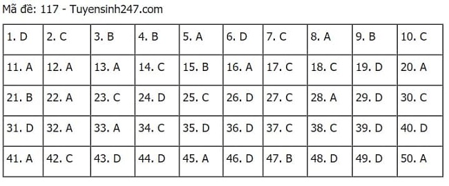 Gợi ý đáp án môn Toán thi tốt nghiệp THPT 2021 đầy đủ mã đề - Ảnh 17