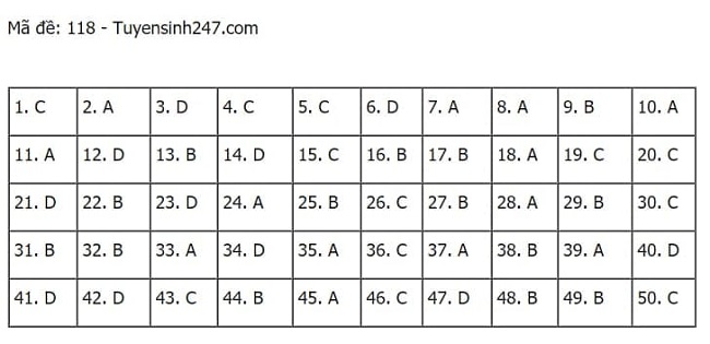 Gợi ý đáp án môn Toán thi tốt nghiệp THPT 2021 đầy đủ mã đề - Ảnh 18