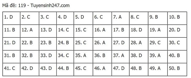 Gợi ý đáp án môn Toán thi tốt nghiệp THPT 2021 đầy đủ mã đề - Ảnh 19