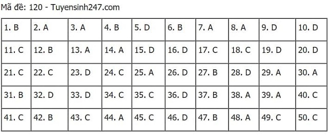 Gợi ý đáp án môn Toán thi tốt nghiệp THPT 2021 đầy đủ mã đề - Ảnh 20