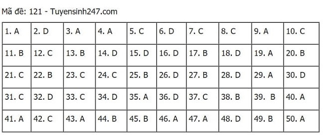Gợi ý đáp án môn Toán thi tốt nghiệp THPT 2021 đầy đủ mã đề - Ảnh 21