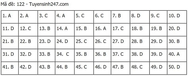 Gợi ý đáp án môn Toán thi tốt nghiệp THPT 2021 đầy đủ mã đề - Ảnh 22