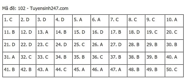 Gợi ý đáp án môn Toán thi tốt nghiệp THPT 2021 đầy đủ mã đề - Ảnh 2