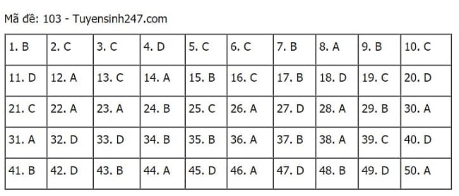 Gợi ý đáp án môn Toán thi tốt nghiệp THPT 2021 đầy đủ mã đề - Ảnh 3
