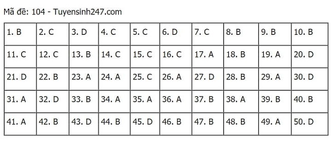 Gợi ý đáp án môn Toán thi tốt nghiệp THPT 2021 đầy đủ mã đề - Ảnh 4