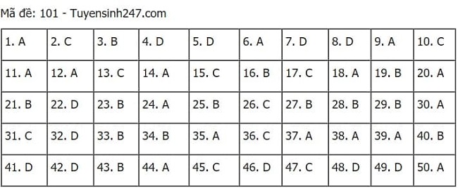 Gợi ý đáp án môn Toán thi tốt nghiệp THPT 2021 đầy đủ mã đề - Ảnh 1