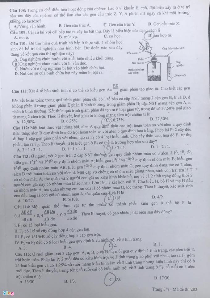 Đề thi & Đáp án môn Sinh Học tốt nghiệp THPT quốc gia 2021 - Ảnh 3