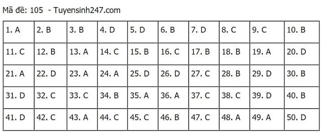 Gợi ý đáp án môn Toán thi tốt nghiệp THPT 2021 đầy đủ mã đề - Ảnh 5