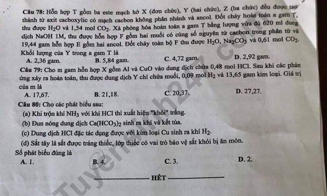 đáp án thi
