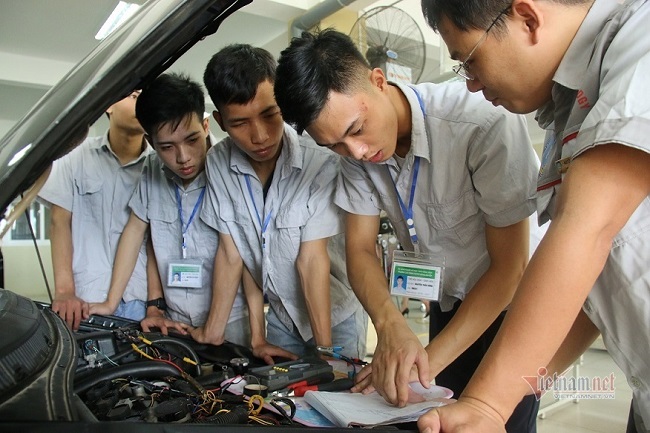 hoạt động giảng dạy