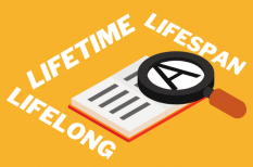 Sự khác biệt giữa Lifetime, Lifelong và Lifespan là gì?