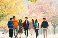 Khi du học Hàn Quốc thì nên lựa chọn ngành gì?