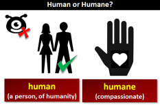 Phân biệt Human và Humane