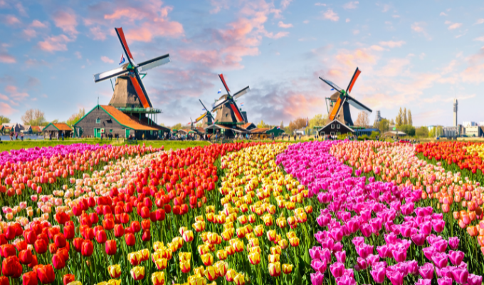 Bật mí ưu điểm và nhược điểm khi du học tại Netherlands - Ảnh 1