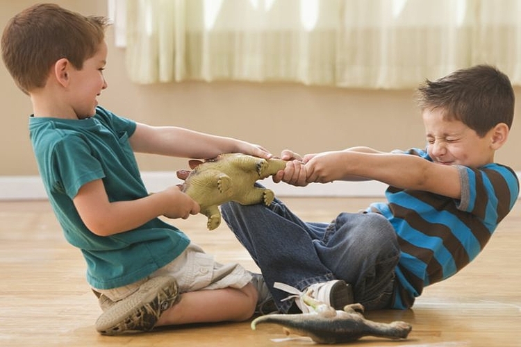 Trẻ con đánh nhau thì nên làm gì? - Ảnh 2