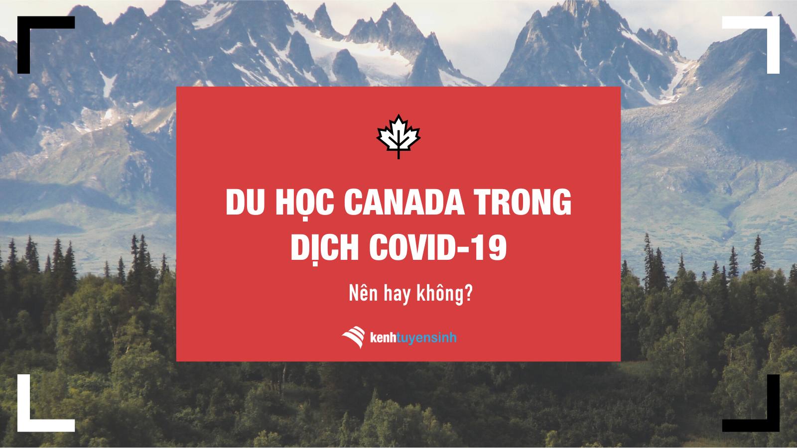 Du học Canada trong dịch COVID-19: Nên hay không?