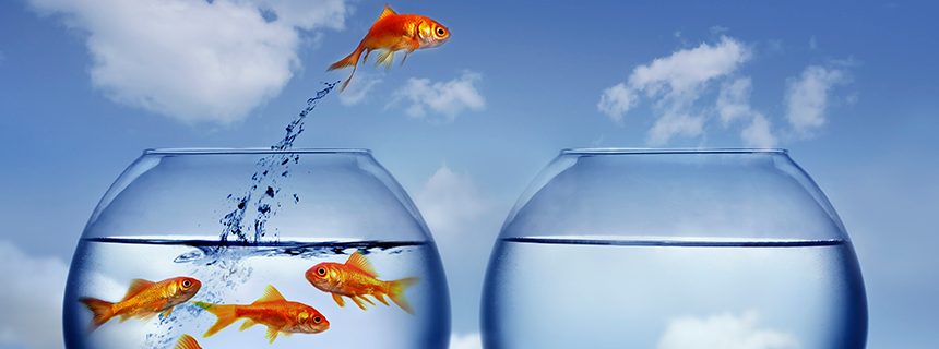 Đi du học sẽ lĩnh hội được những kỹ năng gì? - Ảnh 2