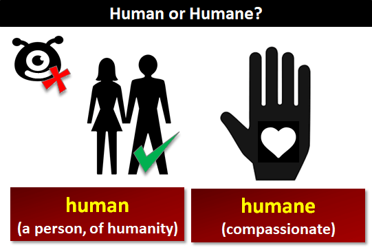 Phân biệt từ Human và Humane Phân biệt từ Human và Humane