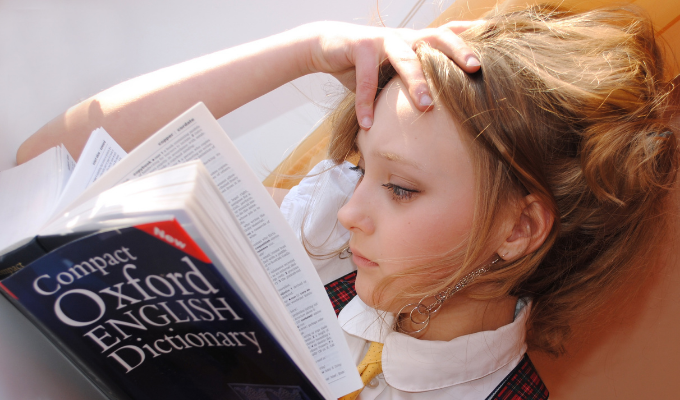 Sinh viên ngành Ngôn ngữ có thể làm những công việc gì? - Ảnh 1