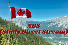 Du học diện SDS là gì? Điều kiện tham gia chương trình SDS (Study Direct Stream)