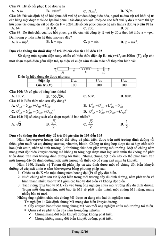 Đề thi mẫu Đánh giá năng lực 2022 của ĐH Quốc Gia TP.HCM - Ảnh 12