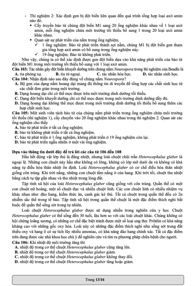 Đề thi mẫu Đánh giá năng lực 2022 của ĐH Quốc Gia TP.HCM - Ảnh 13