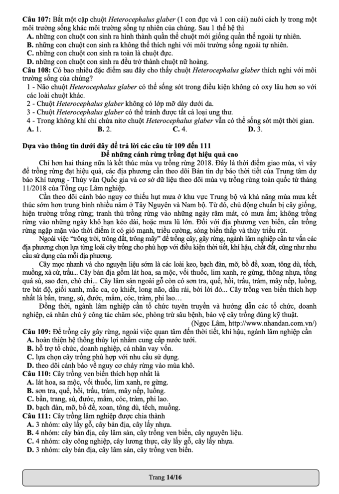 Đề thi mẫu Đánh giá năng lực 2022 của ĐH Quốc Gia TP.HCM - Ảnh 14