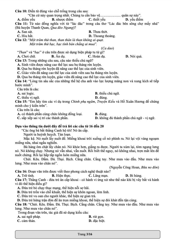 Đề thi mẫu Đánh giá năng lực 2022 của ĐH Quốc Gia TP.HCM - Ảnh 3