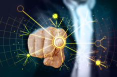 Du học Nhật Bản ngành công nghệ thông tin nên hay không?