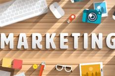 Ngành Marketing học xong ra làm gì?