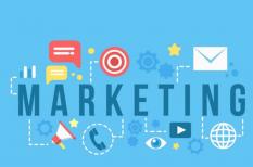 Client và Agency - Làm sao phân biệt? Nên lựa chọn làm ở đâu?