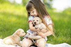 Cách để nuôi dưỡng tình yêu thương động vật nơi trẻ