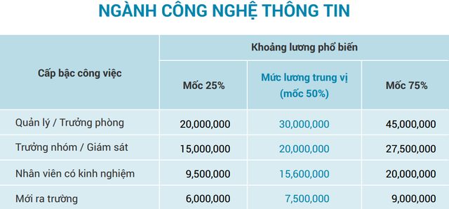 5 ngành nghề có mức lương hậu hĩnh nhất Việt Nam - Ảnh 2