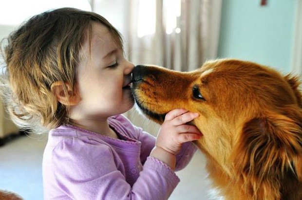 Cách để nuôi dưỡng tình yêu thương động vật nơi trẻ - Ảnh 1