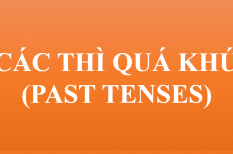 Bài tập luyện tập nhớ kiến thức về 4 thì quá khứ trong Tiếng Anh