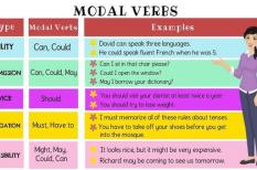 Bài tập luyện tập nhớ kiến thức về Modal Verb