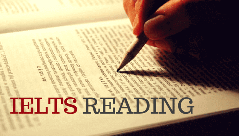 TOP 5 cách học IELTS reading hiệu quả