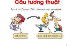 Tất tần tật kiến thức về câu tường thuật