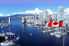 Top 6 ngành học dễ xin việc và định cư tại Canada