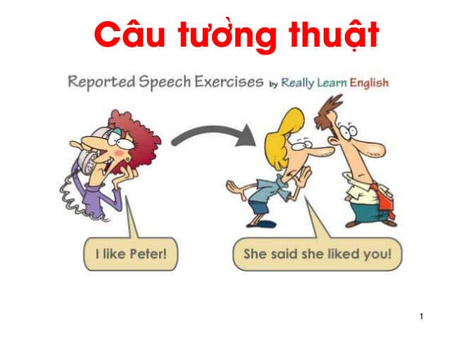 Tất tần tật kiến thức về câu tường thuật - Ảnh 1