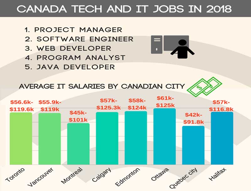 Top 6 ngành học dễ xin việc và định cư tại Canada - Ảnh 1